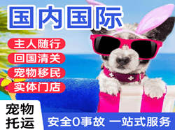张家口空运代理国际宠物托运 【国